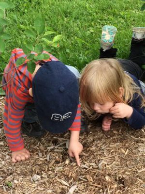 Two toddlers pointing at something in the mulch.