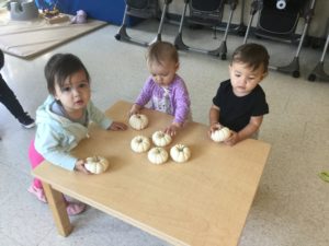 Three toddlers at a table, each with small white pumpkins, engaging with their senses.