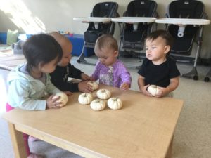 Group of toddlers closely examining and holding white pumpkins together at a table.
