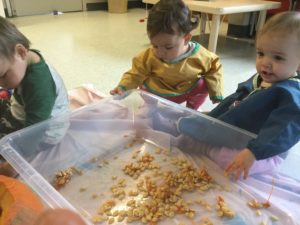 Three toddlers sitting around a sensory bin filled with pumpkin seeds, exploring textures.