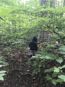 A young child in a hoodie explores a wooded trail surrounded by lush green leaves and trees.
