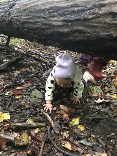 Toddler crawling beneath a large fallen tree as part of forest play adventure.