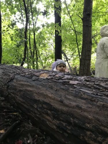 Child peeking over a thick log in the woods.