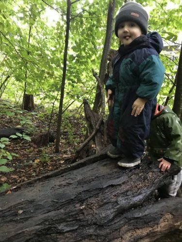 Smiling child standing atop a tree log, enjoying forest exploration.