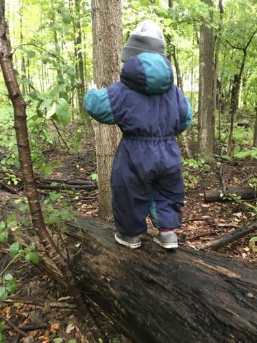 Child practicing balance while walking along a tree trunk in the woods.