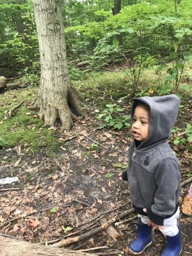 Child in gray hoodie and blue boots observing nature.