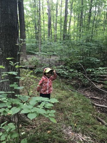 A child looks into the distance while exploring a forest.