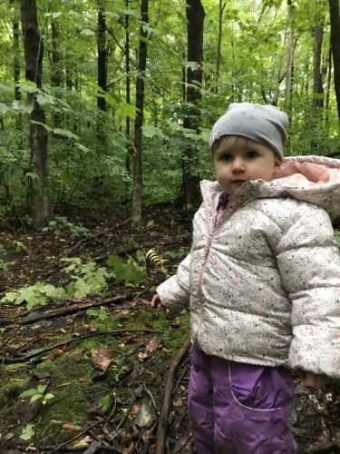 A child stands in a forest clearing holding a stick, surrounded by leaves and mossy ground.