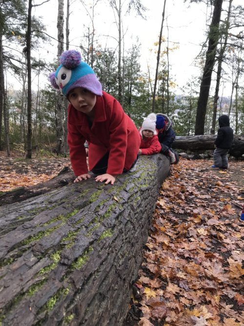 Child climbing on a fallen log in the forest during fall.