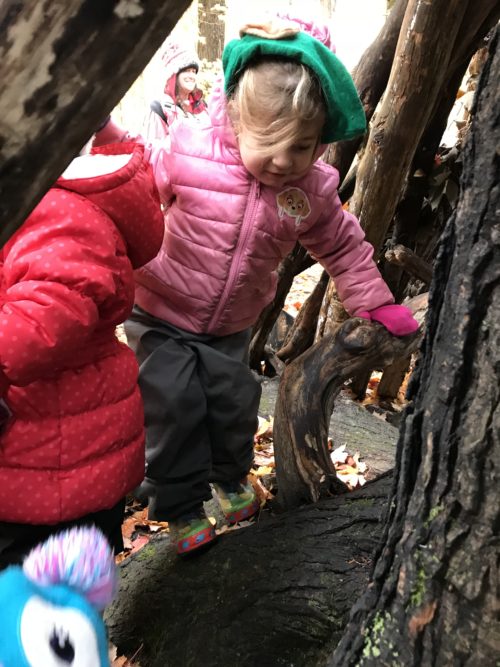 Preschool child balancing on a large tree root, participating in the nature walk at Seneca College.