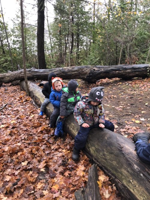 Three children sitting on a long fallen tree trunk in the fall woods.