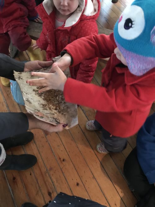 Child placing tobacco onto piece of bark.