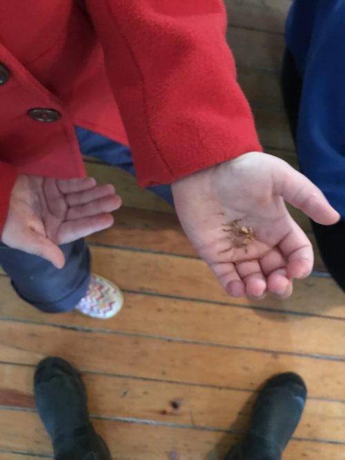 Child in red jacket holding a small handful of tobacco in preparation for the water ceremony.