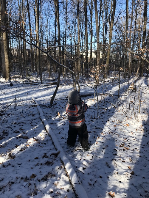 child standing on snowy forest trail looking outwards