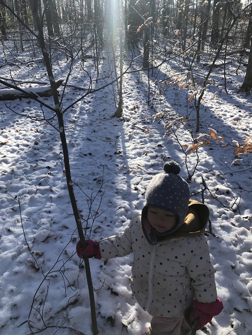child on snowy forest trail holding onto a thin bare tree