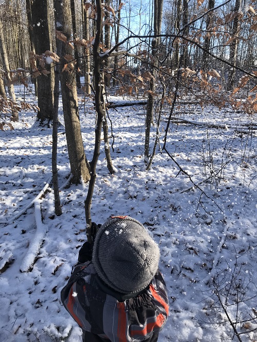 child on snowy winter forest trail looking up with hands to his mouth as though he is calling out