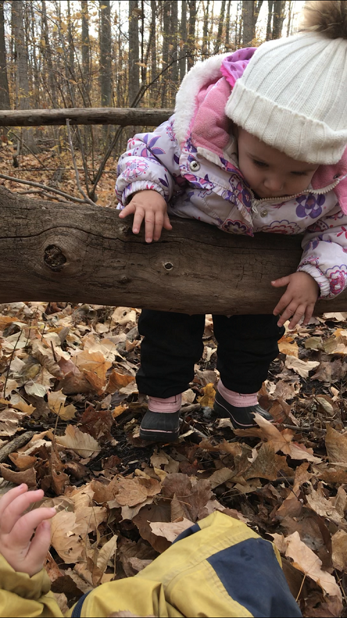 Small child going over a log