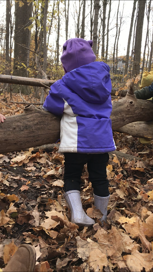 Child wearing purple jacket going over a log in a forest, view from behind