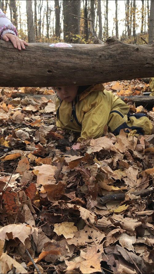 Child in yellow jacket going under a log