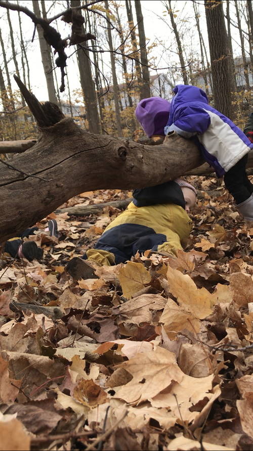 Child wearing purple jacket going over a log in a forest, view from side
