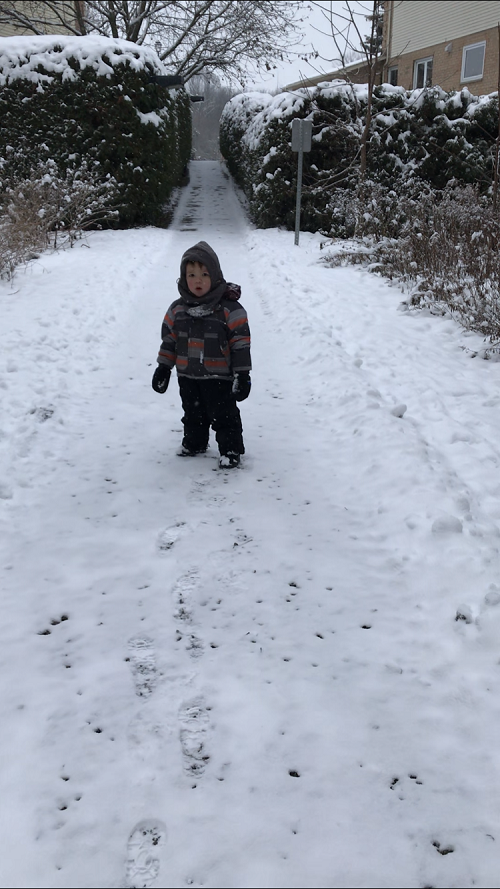 child standing on a snowy forest trail