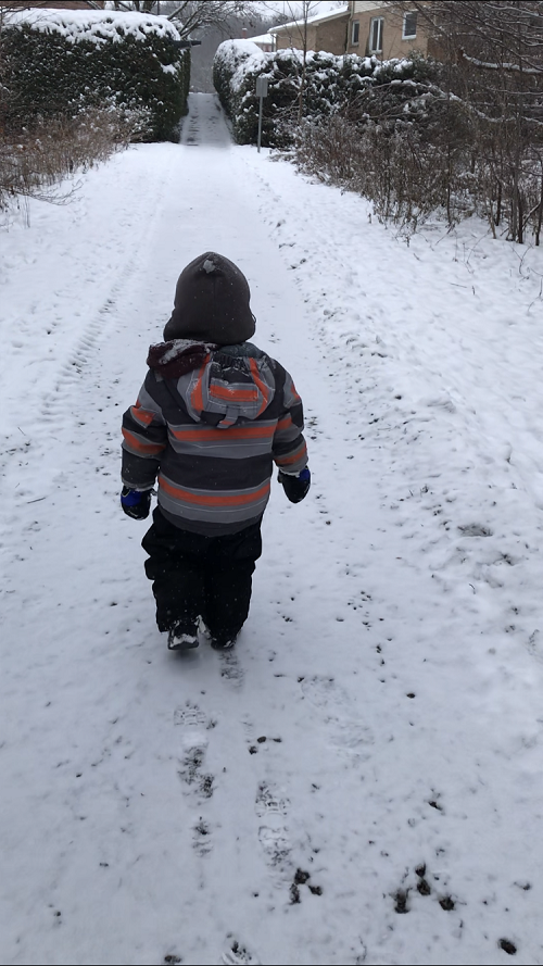child walking away on a snowy forest trail