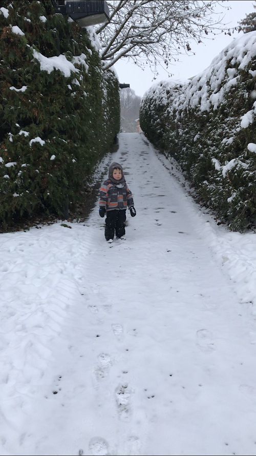child standing on a snowy forest trail in the distance
