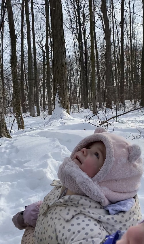 Toddler in pink hat and white patterned snowsuit looking up to the sky in wintery forest.
