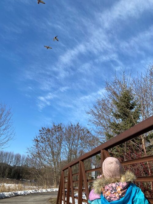 child looking up to the sky