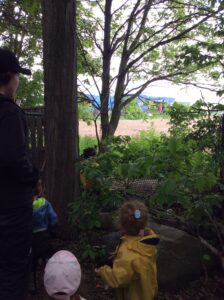 Children walking through a green forest.