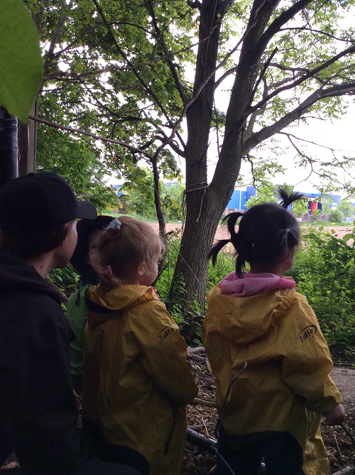 Childen looking out to forest.