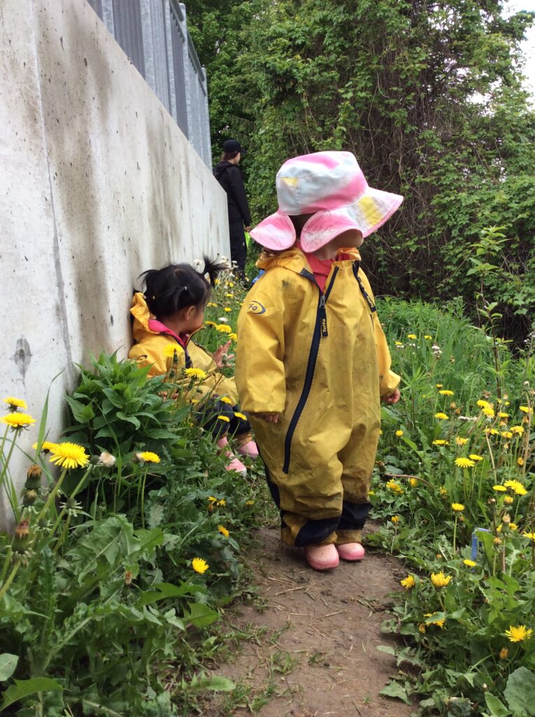 Two children standing in yellow rain suits in a grassy area, with yellow flowers.
