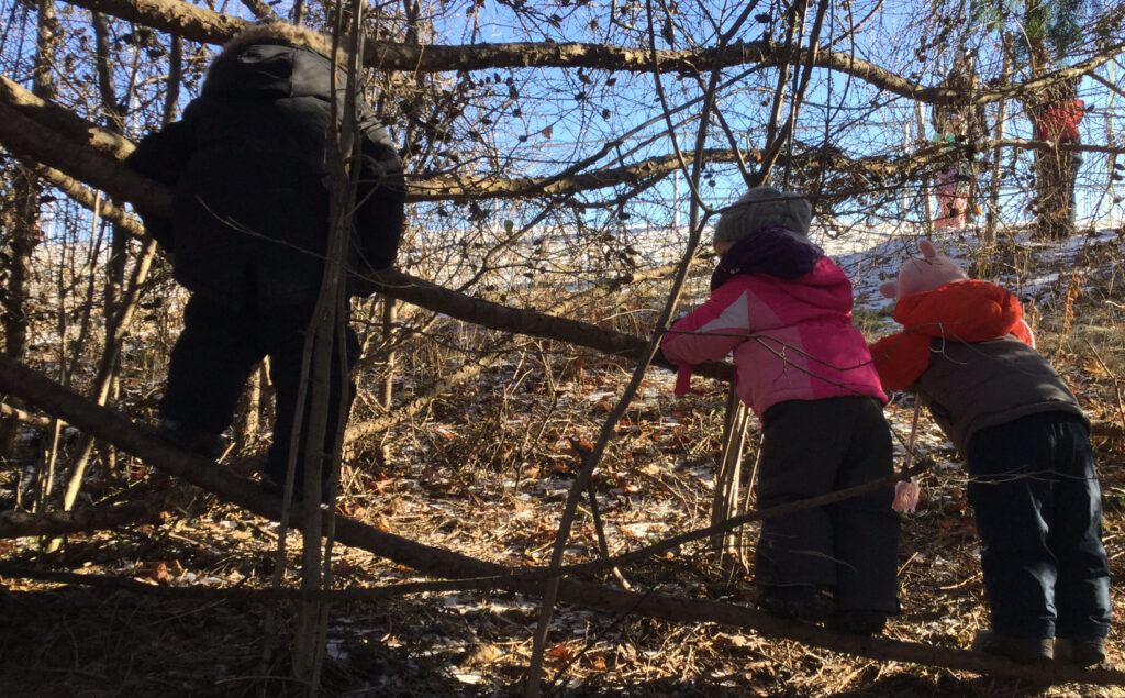 Three toddlers in snowsuits climbing and exploring branches in a forested area on a winter day.