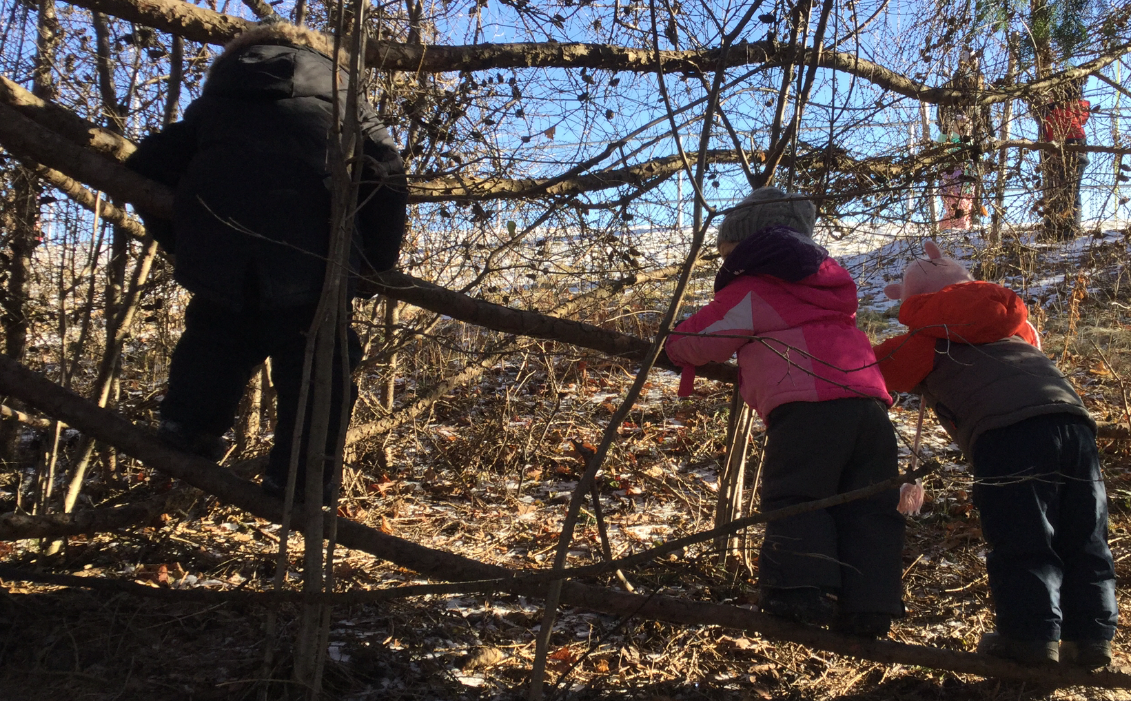 Three toddlers in snowsuits climbing and exploring branches in a forested area on a winter day.