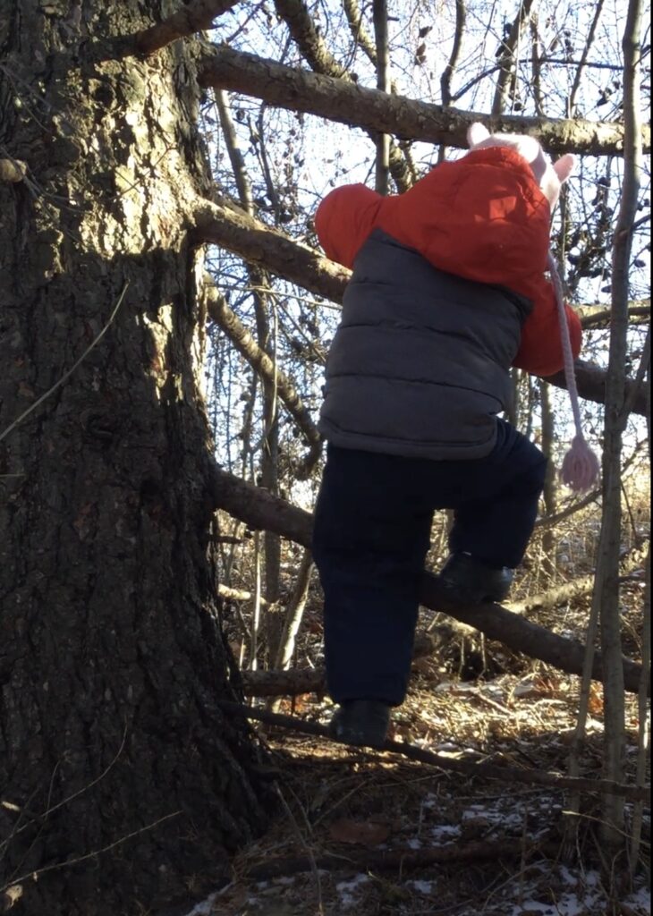 Toddler in a puffy red jacket with animal ears climbing tree branches beside a large trunk.