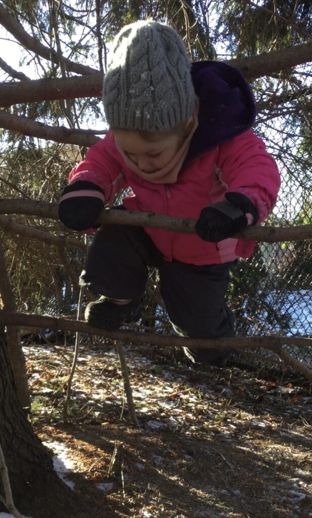 Toddler in a pink jacket and grey hat carefully climbing between tree branches.