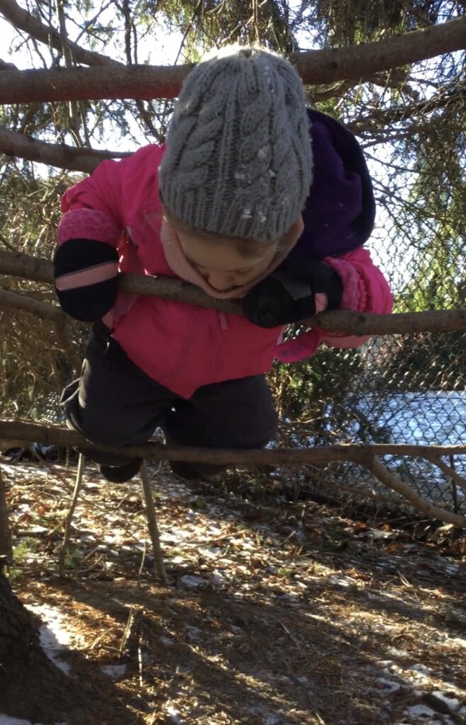 Toddler balancing on a tree branch, gripping higher branches to stabilize themselves.