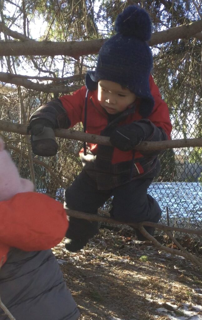 Toddler in red jacket and blue winter hat climbing through low branches with focused expression.