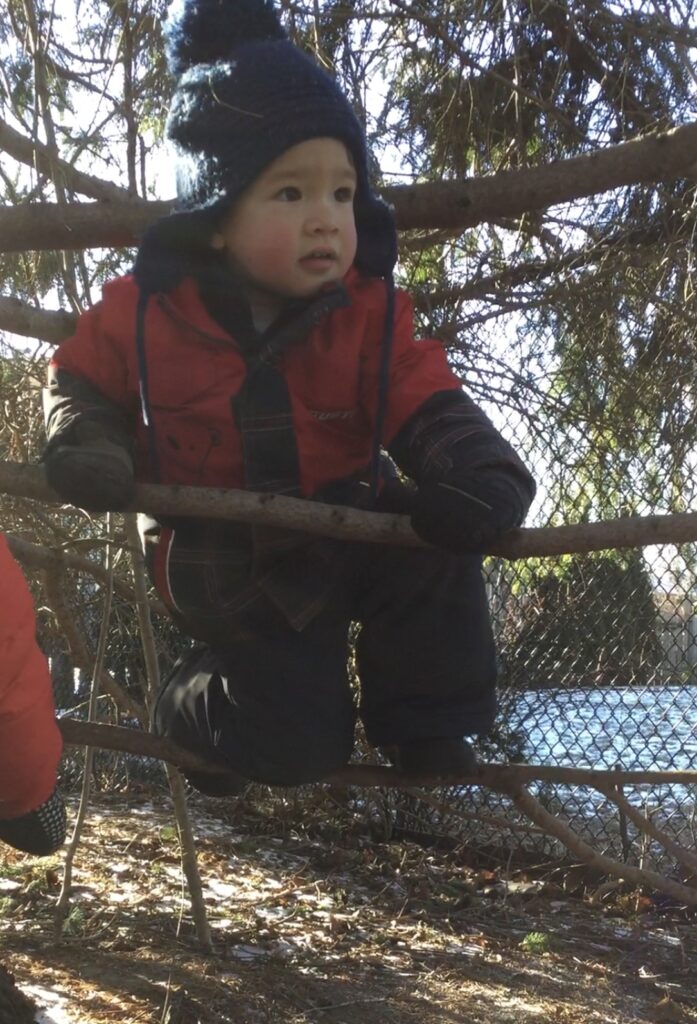 Toddler in red jacket sitting on a branch while looking off into the distance.