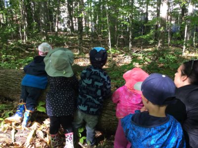 Children leaning over a large fallen log, observing the forest ahead.