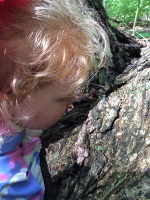 Girl closely inspecting tree bark with her face near the trunk.