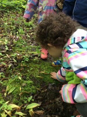 Child in striped jacket crouched low to examine moss on the forest floor.