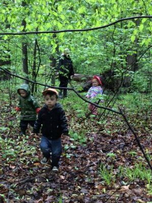 Children walking through a dense green forest surrounded by spring leaves.