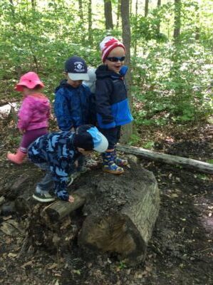 Children balancing and playing on a large tree stump in the woods.