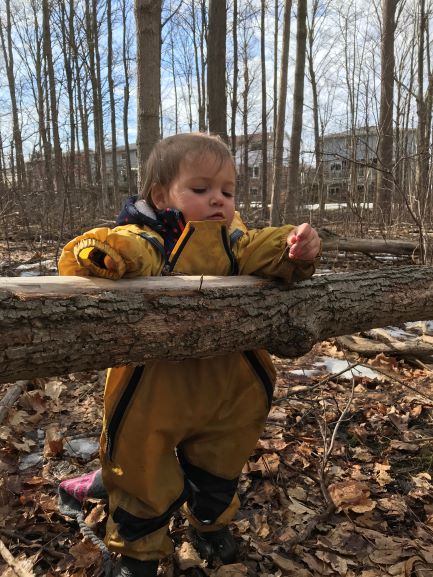 Child in yellow rain suit touching fallen tree trunk.