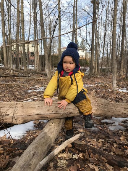 Child in yellow rain suit climbing over a large fallen tree trunk in icey forest.