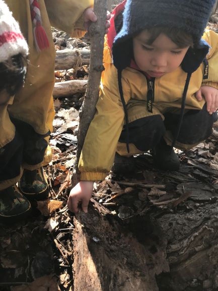 Child crouched in the forest beside a log, reaching out to touch natural object.