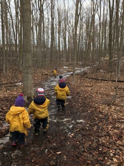 Group of children in yellow rain suits walking through a muddy forest path with fallen leaves.