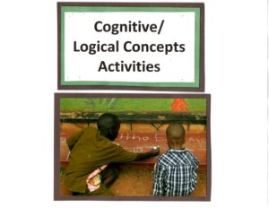 Cognitive/logical concepts activities.