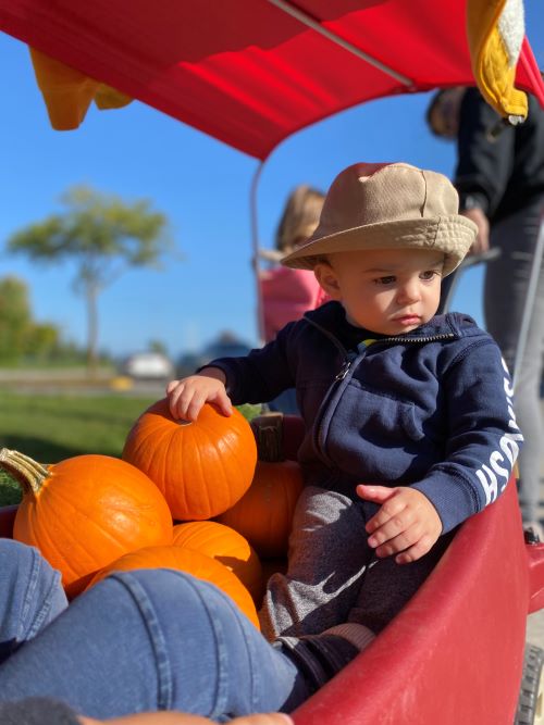 Child in a red wagon holding pumpkins.